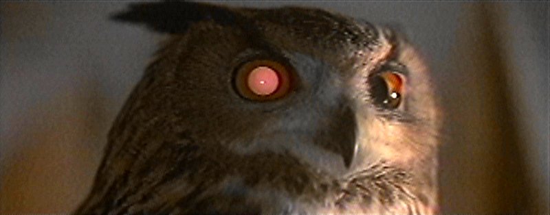 Blade Runner