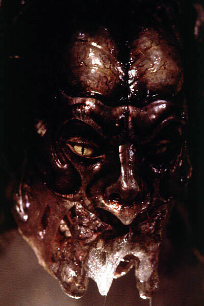 Species II